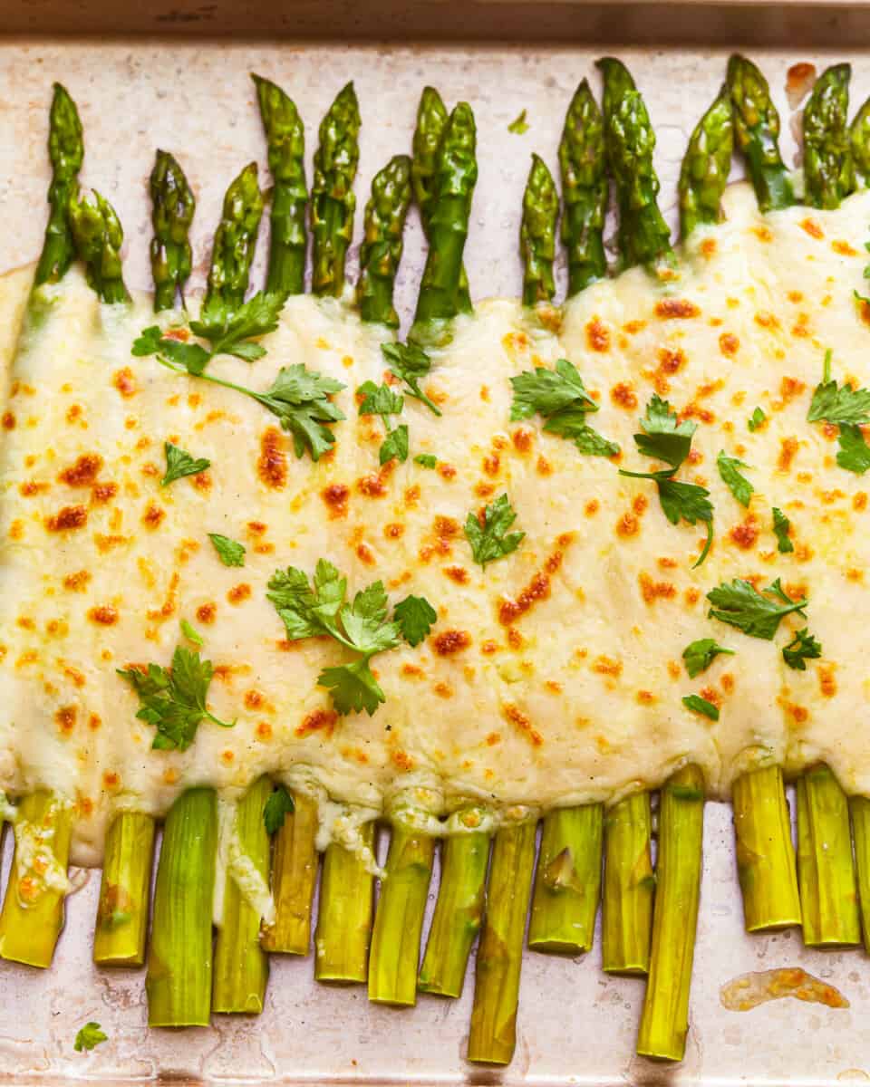A baking tray of asparagus au gratin topped with cheese and parsley.