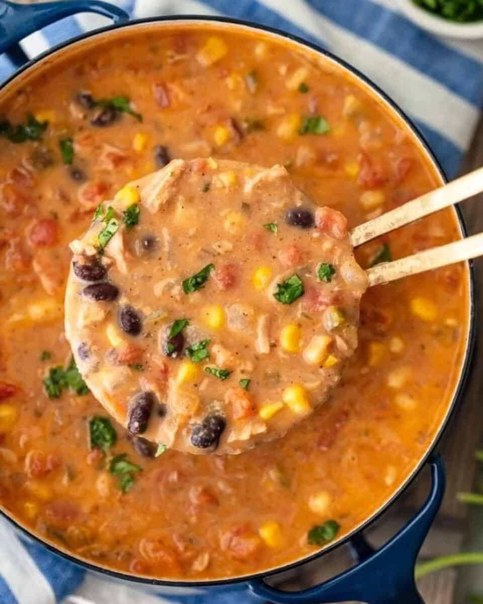 Mom's Simple Chicken Tortilla Soup