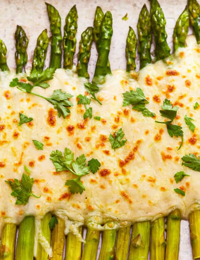 A sheet of asparagus gratin with cheese and parsley on it.