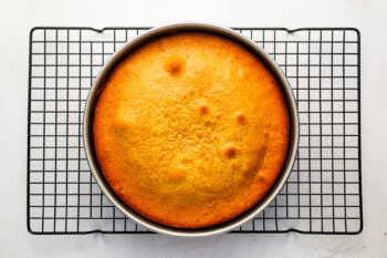 A cake in a pan on a cooling rack.