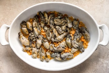 A white bowl filled with clams and rice.