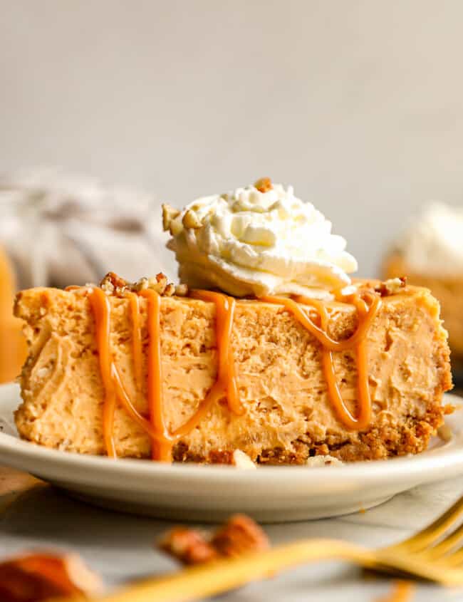 A slice of pumpkin cheesecake on a plate with whipped cream and pecans.