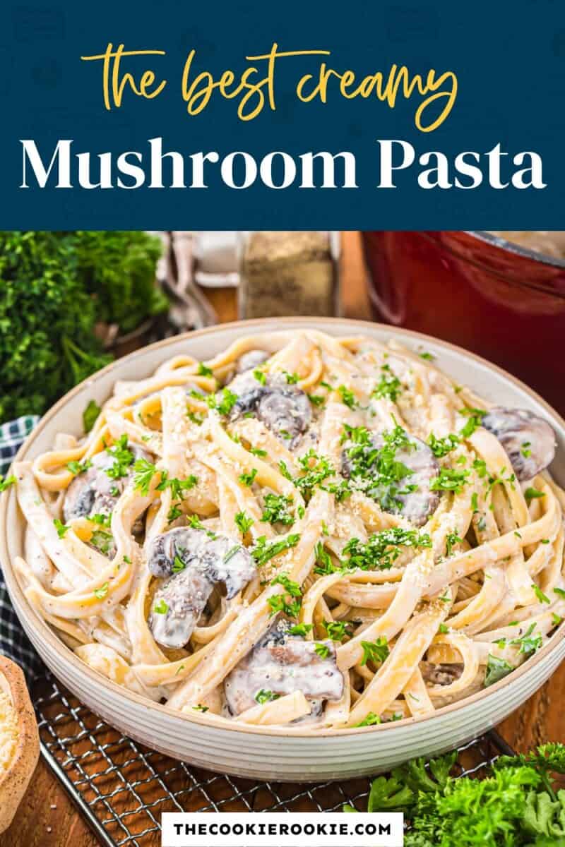 The best creamy mushroom pasta.