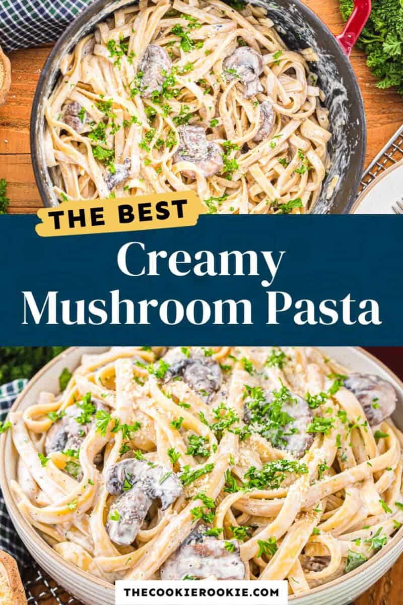 The best creamy mushroom pasta.