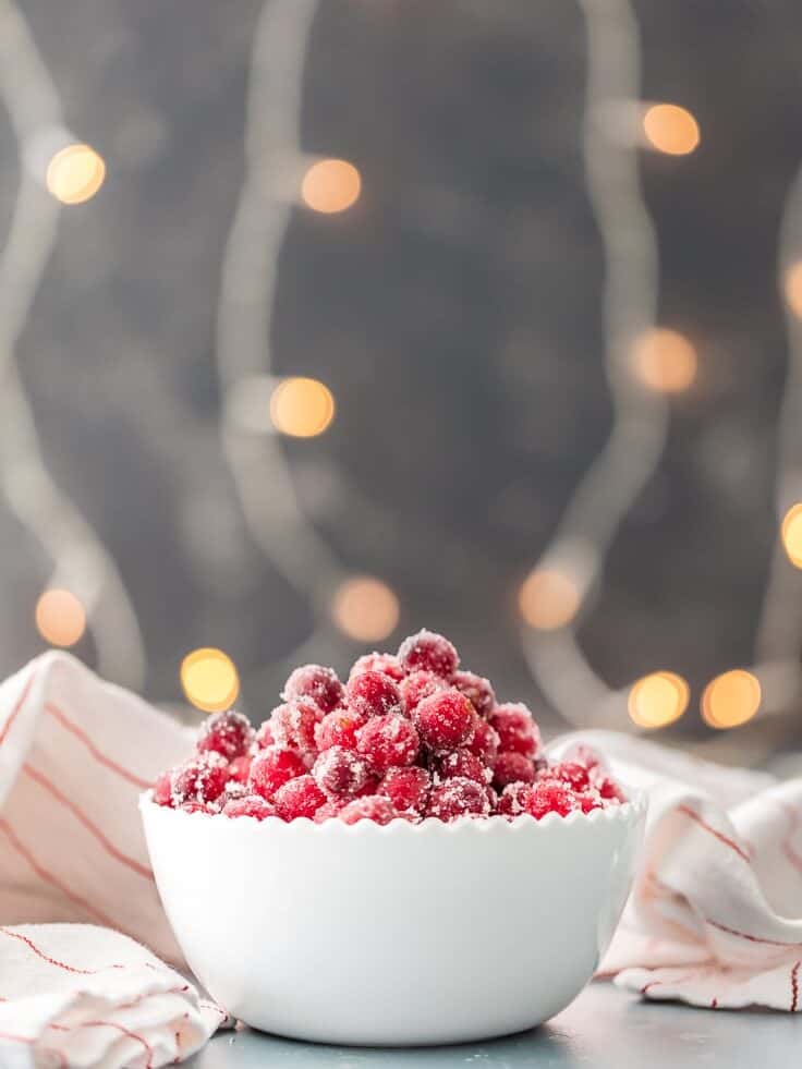 Sugared Cranberries Recipe - The Cookie Rookie®