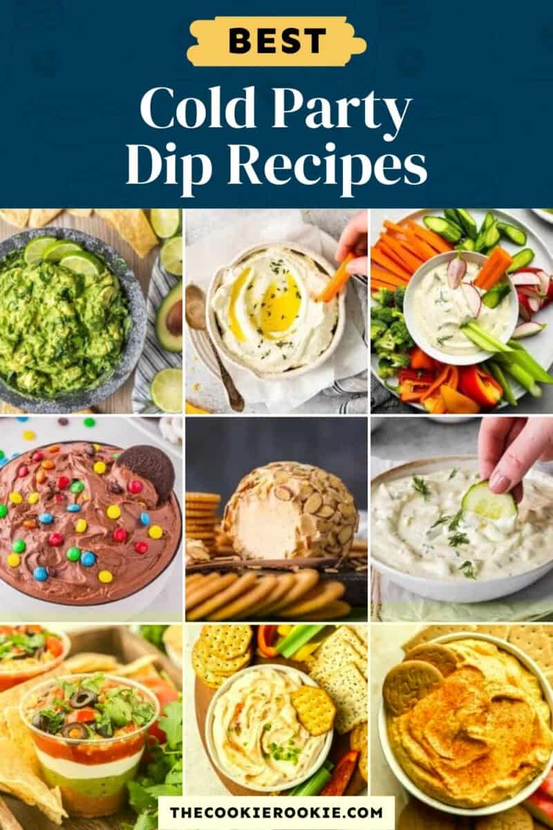 Best cold party dip recipes.