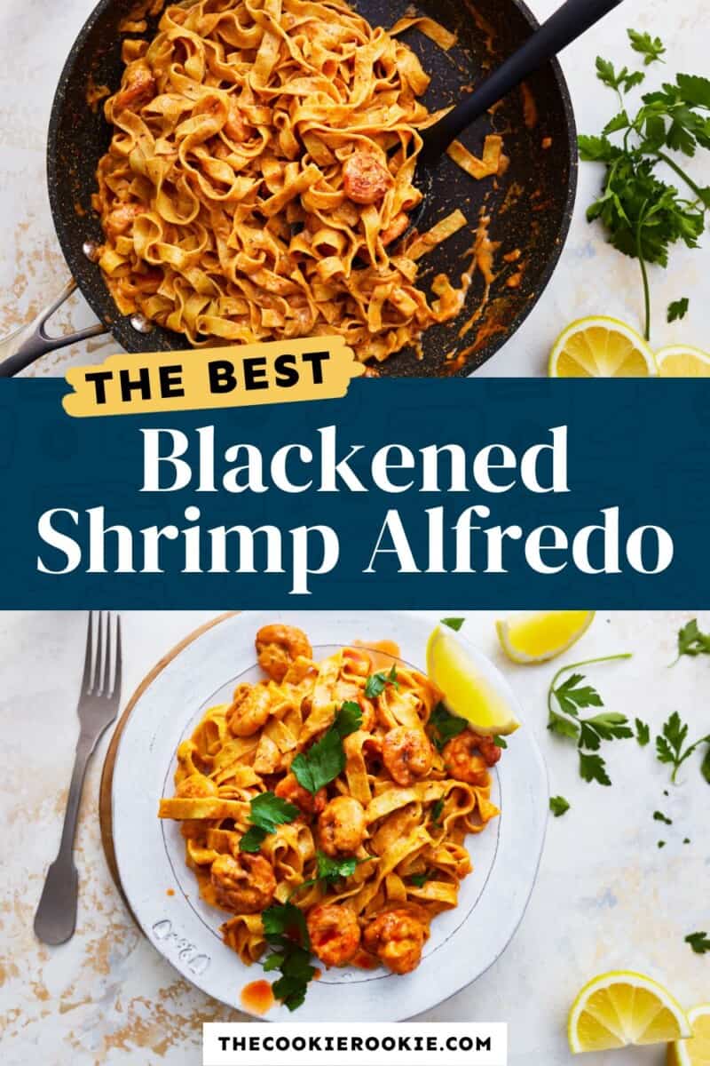The best blackened shrimp alfredo.