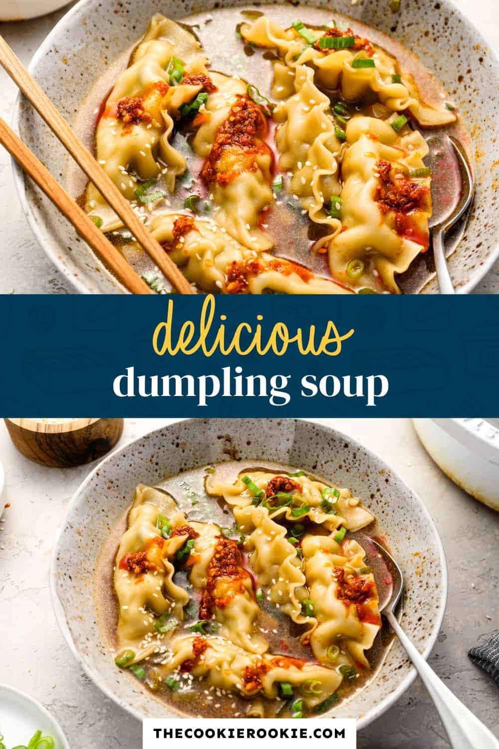 dumpling soup pin image
