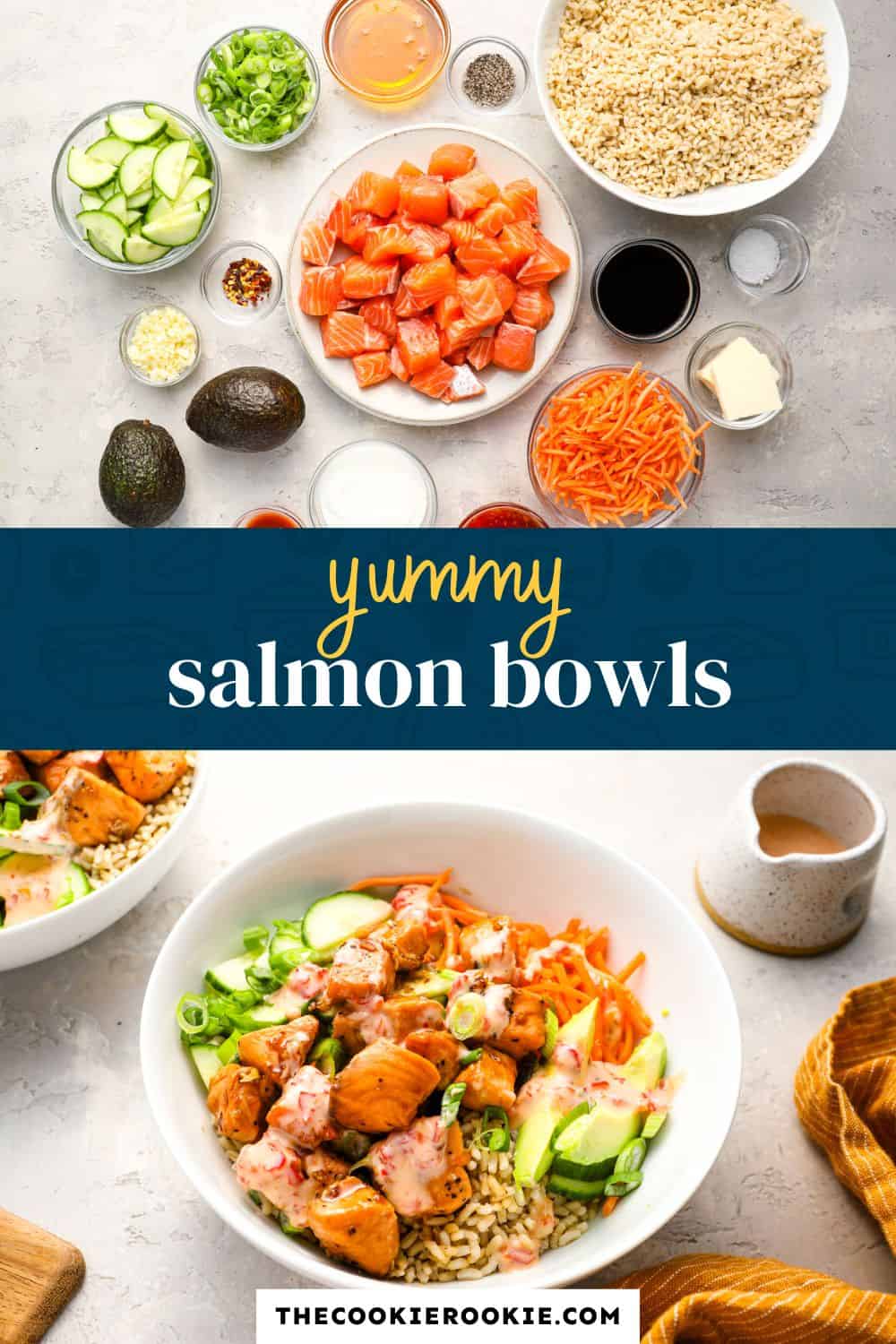 salmon bowls pin image