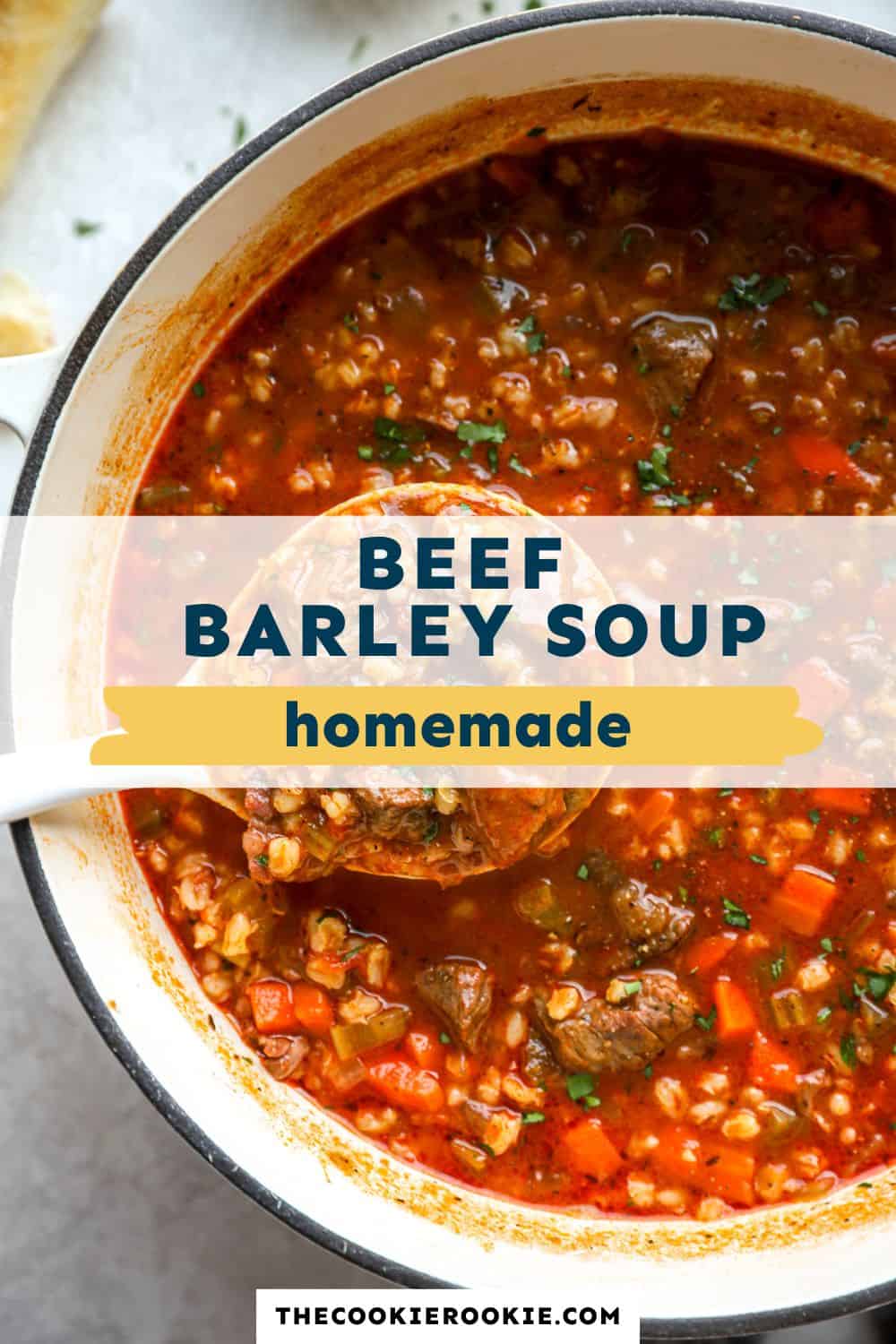 beef barley soup pin image