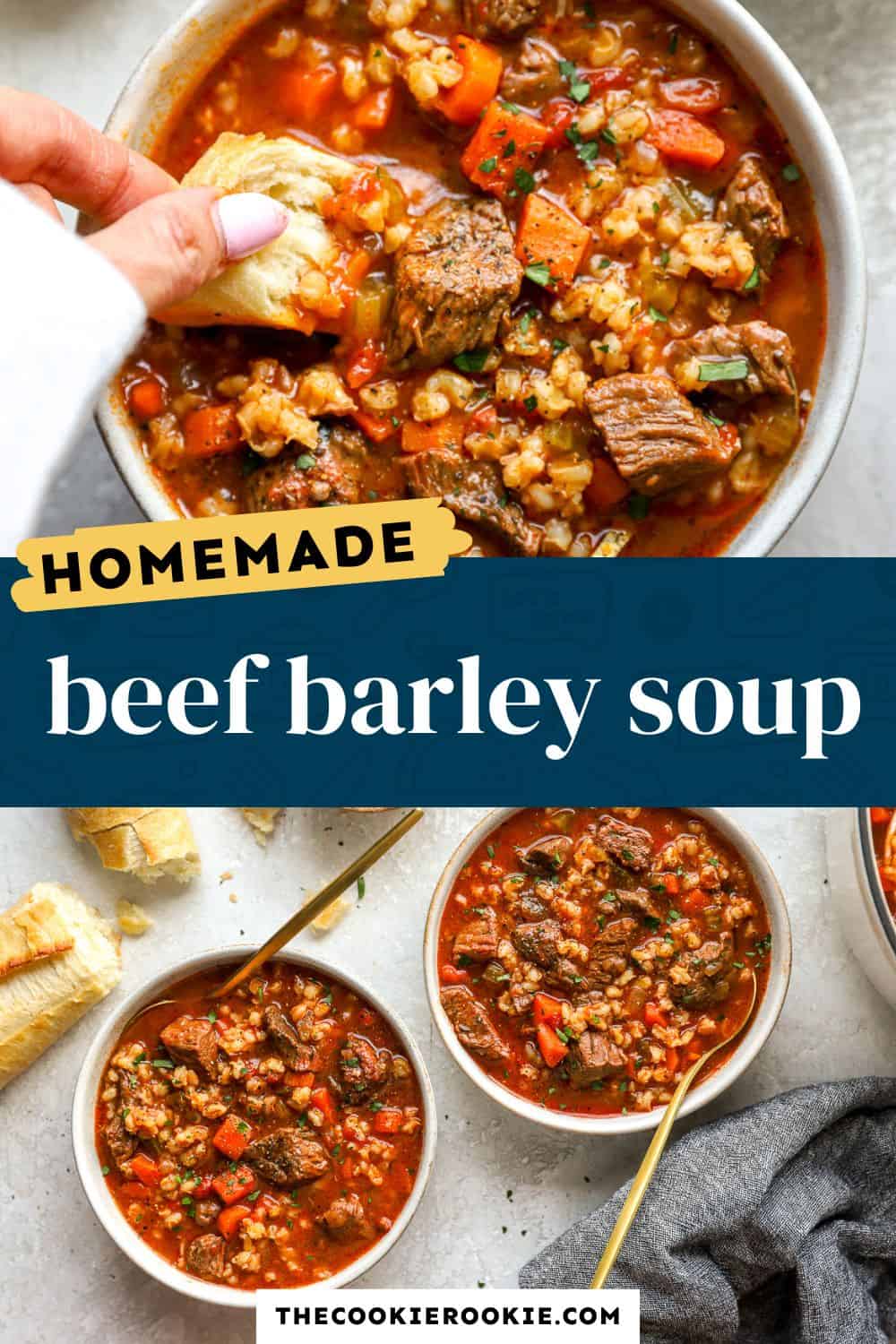 beef barley soup pin image