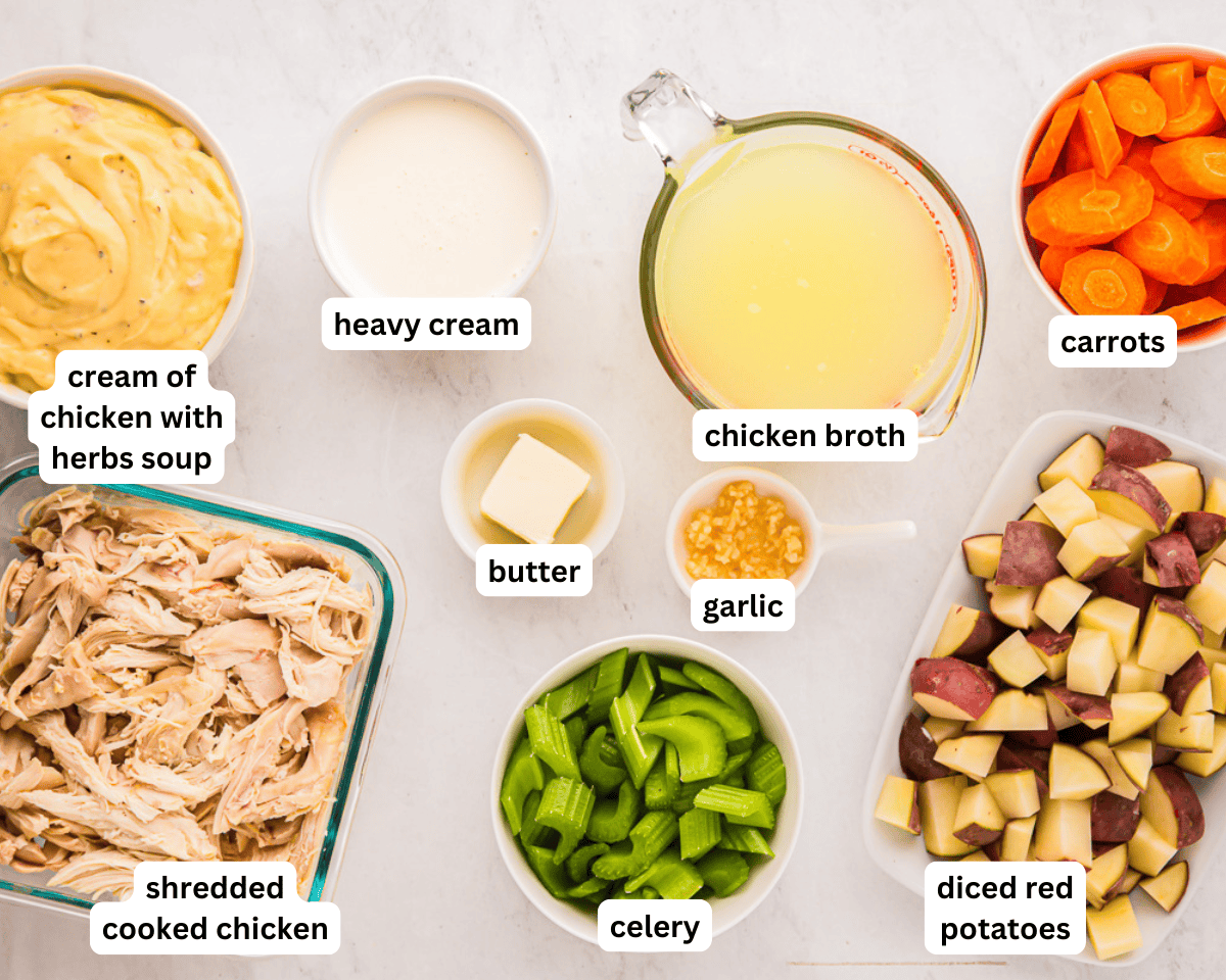 ingredients to make creamy chicken stew