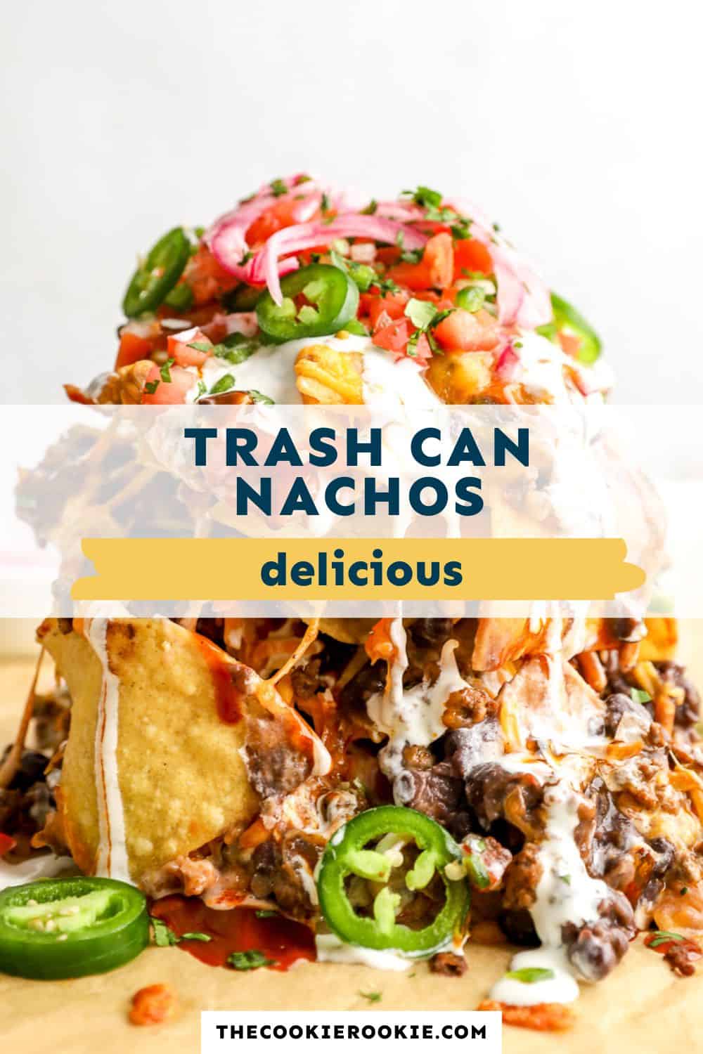 trash can nachos pin image