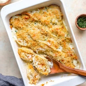 Baked seafood stuffed shells in a white casserole dish topped with golden breadcrumbs and parmesan, with a spoon scooping out a shell.