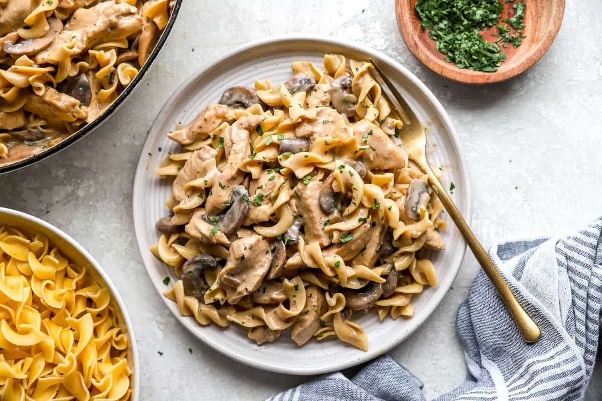 Chicken stroganoff mixed with egg noodles on a plate with a fork.