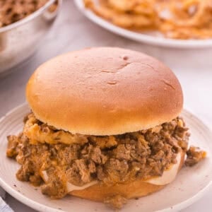 Beef Stroganoff Sloppy Joe sandwich on a brioche bun with melted Swiss cheese and crispy fried onions on a white plate