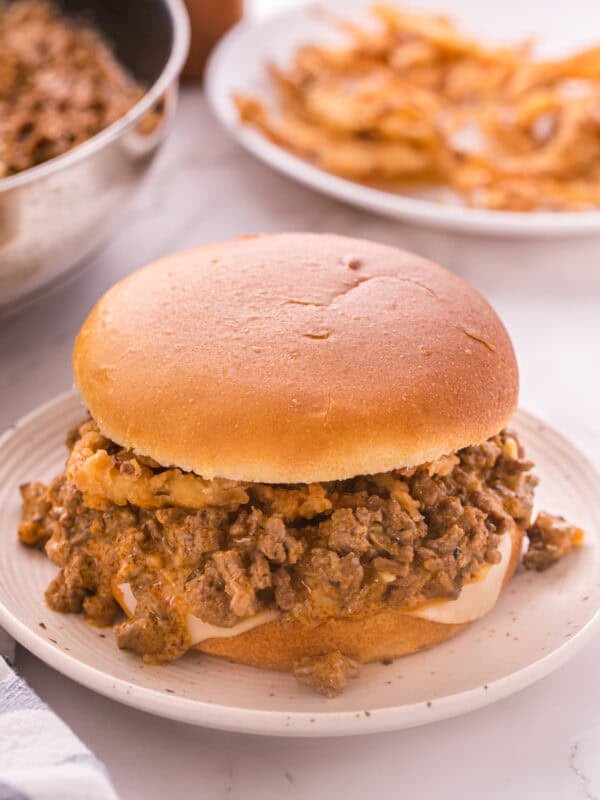 Beef Stroganoff Sloppy Joe sandwich on a brioche bun with melted Swiss cheese and crispy fried onions on a white plate